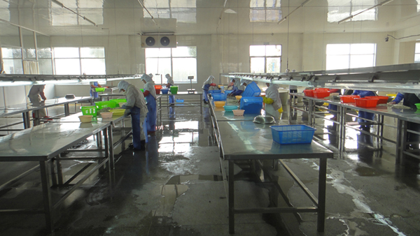 生产车间-005.JPG